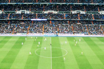 Overview of stadium field and crowd