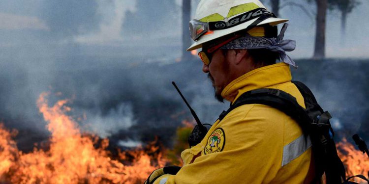 firefighter fighting wildfire