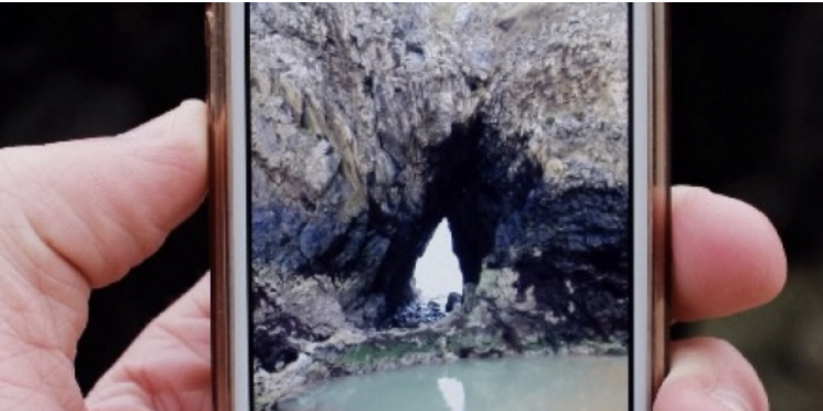 Man holding a smartphone