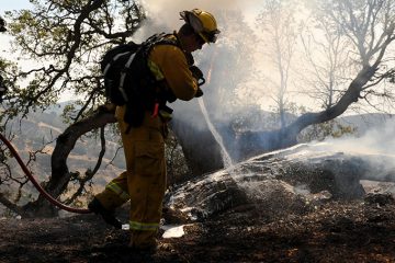 wildland firefighters