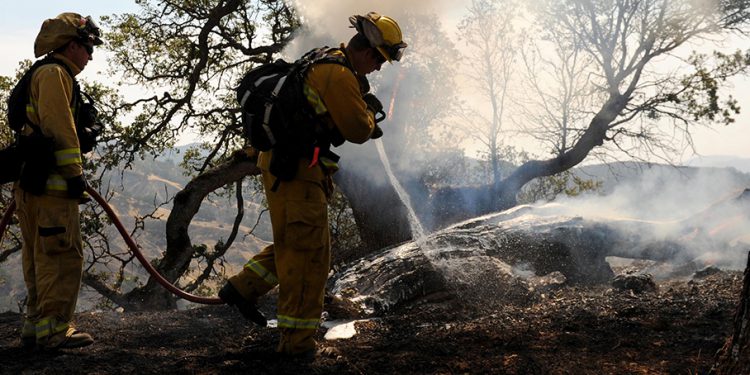 wildland firefighters