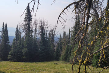 View from a Tough Stump Tech Rodeo Test - goTenna Pro X positioning