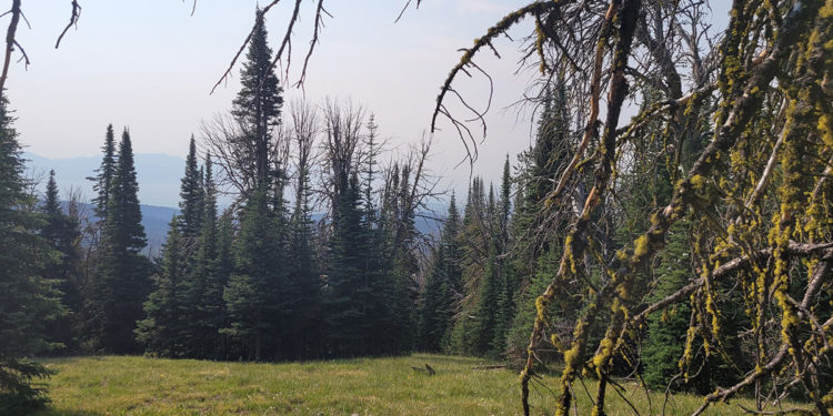 View from a Tough Stump Tech Rodeo Test - goTenna Pro X positioning