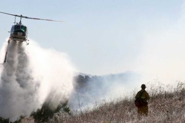 wildland fire