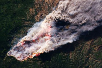 Wildfire image